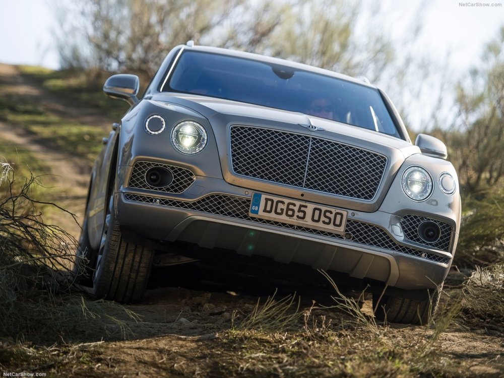 Дизельный Bentley Bentayga получил ориентировочную цену - «Bentley»