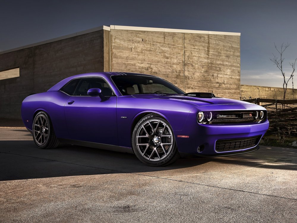 Dodge выпустит лимитированную серию маслкаров Challenger и Charger цвета "Бешеной сливы" - «Dodge»