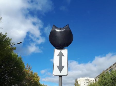 Для чего знаки на дорогах закрывают черными пакетами? - «Новостной Автоблогер»
