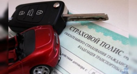 Как изменилась стоимость страховки от ОСАГО за год? - «Новостной Автоблогер»