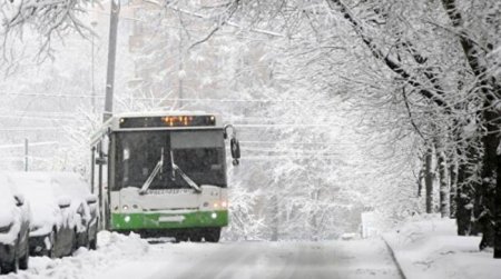Москва заняла 70-е место в рейтинге самых экологичных городов - «Новостной Автоблогер»