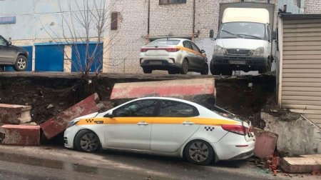 Москвич погиб после падения дерева на автомобиль - «Новостной Автоблогер»