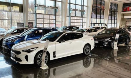 Новый документ на автомобиль появится в России - «Новостной Автоблогер»