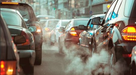 Пшеница может сократить выбросы CO2 в автомобиле - «Новостной Автоблогер»