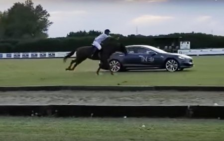 Tesla Model S участвовала в гонке против лошади - «Новостной Автоблогер»