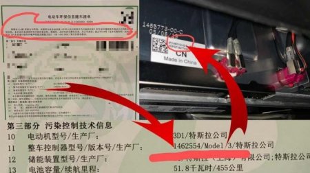 Tesla удивила продажами в Китае на фоне кризиса из-за коронавируса - «Новостной Автоблогер»