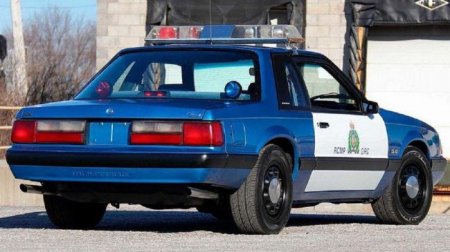 Уникальный полицейский Ford Mustang выставили на аукцион - «Новостной Автоблогер»