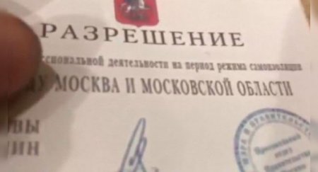 Как мошенники наживаются на автовладельцах в условиях ограничений, рассказали эксперты - «Новостной Автоблогер»