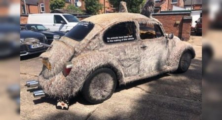 На продажу выставлен мохнатый Volkswagen Beetle - «Новостной Автоблогер»