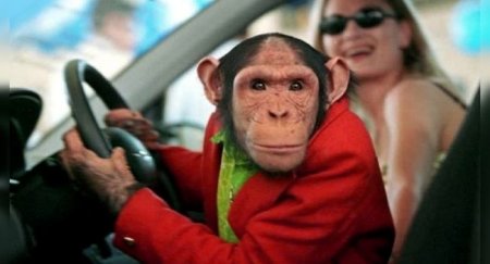Правила дорожного движения в США, удивляющие наших автомобилистов - «Новостной Автоблогер»