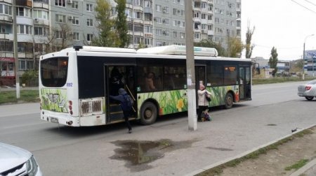 В Волгограде вывели на улицы почти весь общественный транспорт - «Новостной Автоблогер»