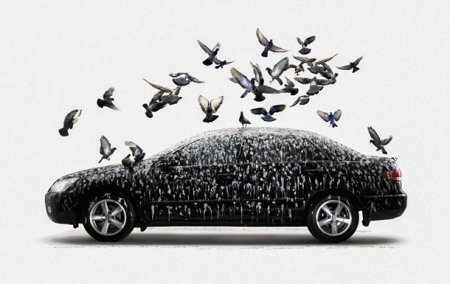 Ford использует искусственный птичий помет для проверки краски - «Новостной Автоблогер»