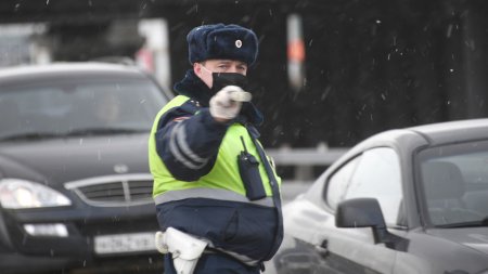 ГИБДД устроит в праздники массовые рейды по выявлению пьяных водителей - «ГИБДД»