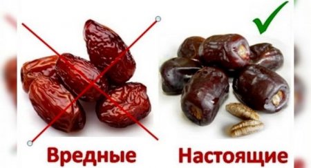 Орехи и сухофрукты – как выбрать? - «Новостной Автоблогер»