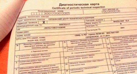 ОСАГО без техосмотра купить можно, но лучше этого не делать - «Новостной Автоблогер»