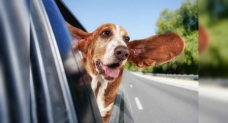 Почему не нужно открывать окна в авто на большой скорости - «Новостной Автоблогер»
