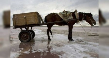 Самые первые в мире официальные ДТП - «Новостной Автоблогер»