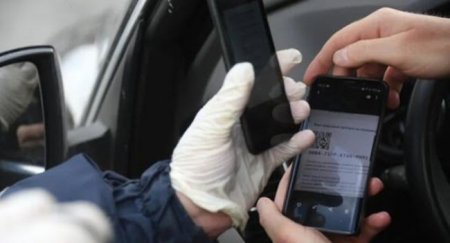 Заработал чат-бот по проверке авто с цифровыми пропусками - «Новостной Автоблогер»