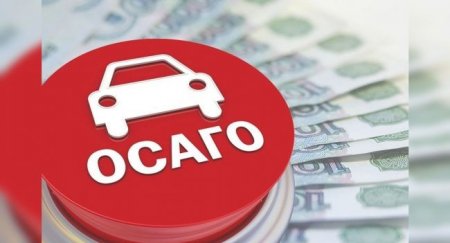 Автолюбители стали чаще покупать электронное ОСАГО - «Новостной Автоблогер»