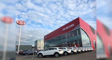 KIA в июне восстанавливает полноценную деятельность в России - «Новостной Автоблогер»