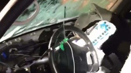 Медведь уничтожил весь салон припаркованной Toyota - «Новостной Автоблогер»