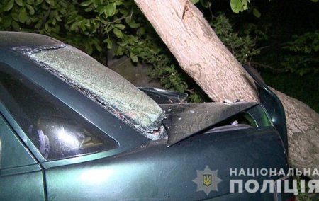На Винниччине нетрезвая женщина сбила группу детей - «ДТП»