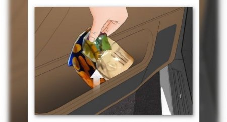 Простейшие, но действенные способы мгновенно избавиться от насекомых в салоне авто - «Новостной Автоблогер»
