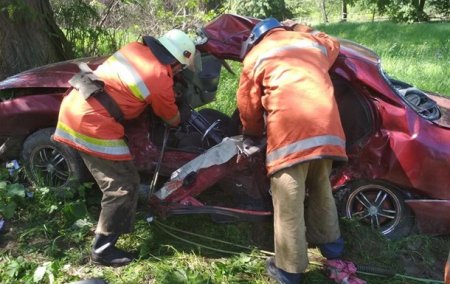 Смертельное ДТП на Житомирщине: в полиции рассказали подробности - «ДТП»