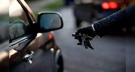 Автоворы в Подмосковье угоняли иномарки, используя поддельные государственные номера - «Новостной Автоблогер»