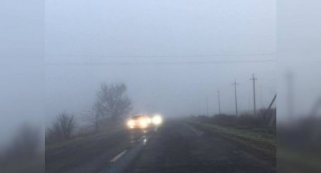 Десять правил при движении во время тумана - «Новостной Автоблогер»