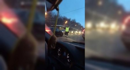 Инспектор остановил для участия в “живом щите”. Как быть? - «Новостной Автоблогер»