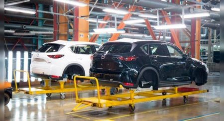 Компания Sollers в 2019 году увеличила выручку на 46,5% - «Новостной Автоблогер»