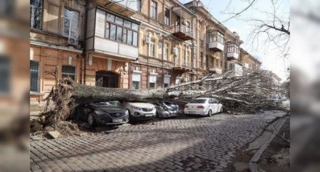 Правила оформления КАСКО - «Новостной Автоблогер»