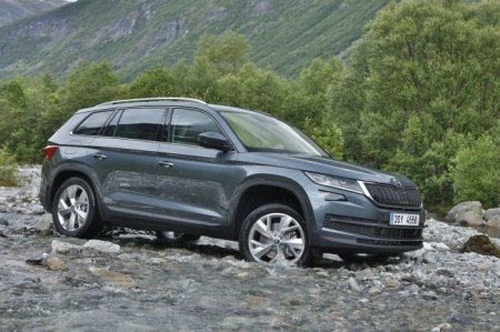 Skoda Octavia vs Kodiaq: Названы особенности бестселлеров марки - «Новостной Автоблогер»