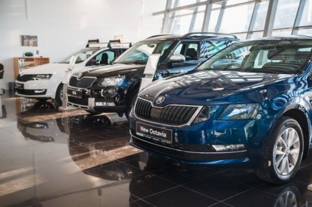 Составлен портрет российского владельца автомобиля Skoda - «Новостной Автоблогер»