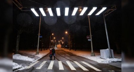 Столичным «зебрам» вернут исконные цвета - «Новостной Автоблогер»