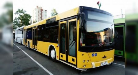 В Колпино поставили 10 автобусов МАЗ-203 - «Новостной Автоблогер»