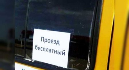 В Подмосковье просят ввести платный въезд из-за москвичей - «Новостной Автоблогер»