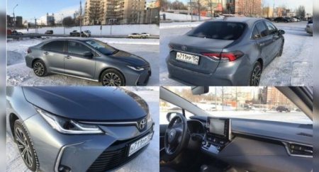 Владелец сравнил Toyota Corolla 2013 и 2019 годов - «Новостной Автоблогер»