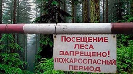 Когда поездка на природу может грозить штрафом? - «Новостной Автоблогер»