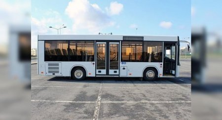 О проблемах с МАЗами 206 рассказали автомобилисты - «Новостной Автоблогер»