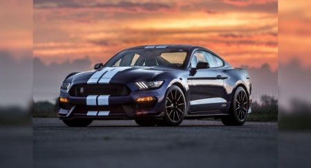 Shelby примет обновленные версии GT350 и GT500 - «Новостной Автоблогер»