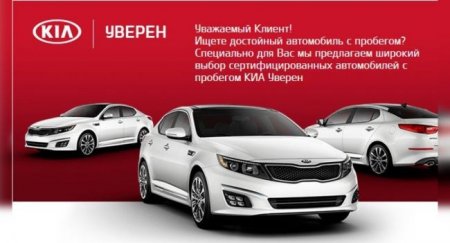 Продажи авто KIA с пробегом в августе выросли на 19% - «Новостной Автоблогер»