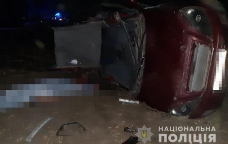 В Запорожской области подросток устроил ДТП с тремя жертвами - «ДТП»