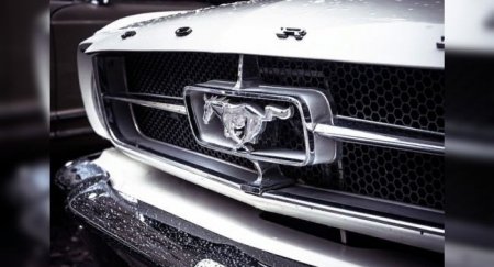 Во Флориде владелец Ford Mustang использовал свой спорткар вместо грузового пикапа - «Новостной Автоблогер»