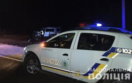 В Одесской области из-за лошади произошло смертельное ДТП - «ДТП»
