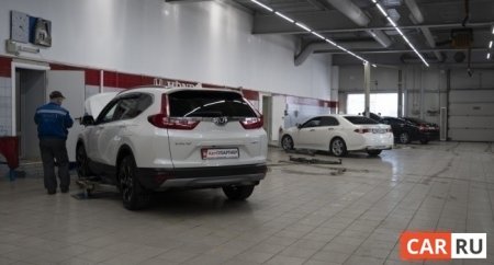 Чем опасен и как убирать птичий помёт с кузова автомобиля? - «Новостной Автоблогер»