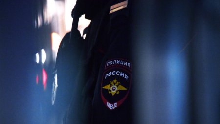Более 700 тыс. жителей новых регионов получили госуслуги по линии ГАИ - «ГИБДД»