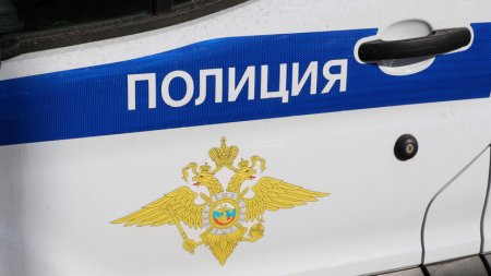 Под Тюменью женщина с восемью собаками в салоне авто насмерть сбила пенсионера - «ГИБДД»