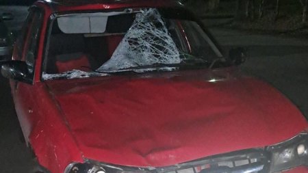 Водитель насмерть сбил двух пешеходов в Омской области - «ГИБДД»